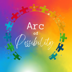 ARC OF POSSIBILITY LLC